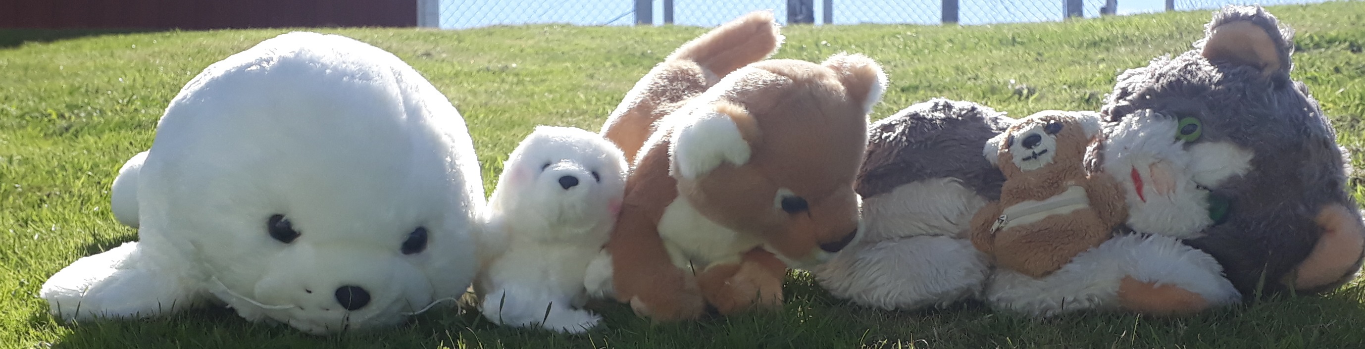20200805_123948.jpg