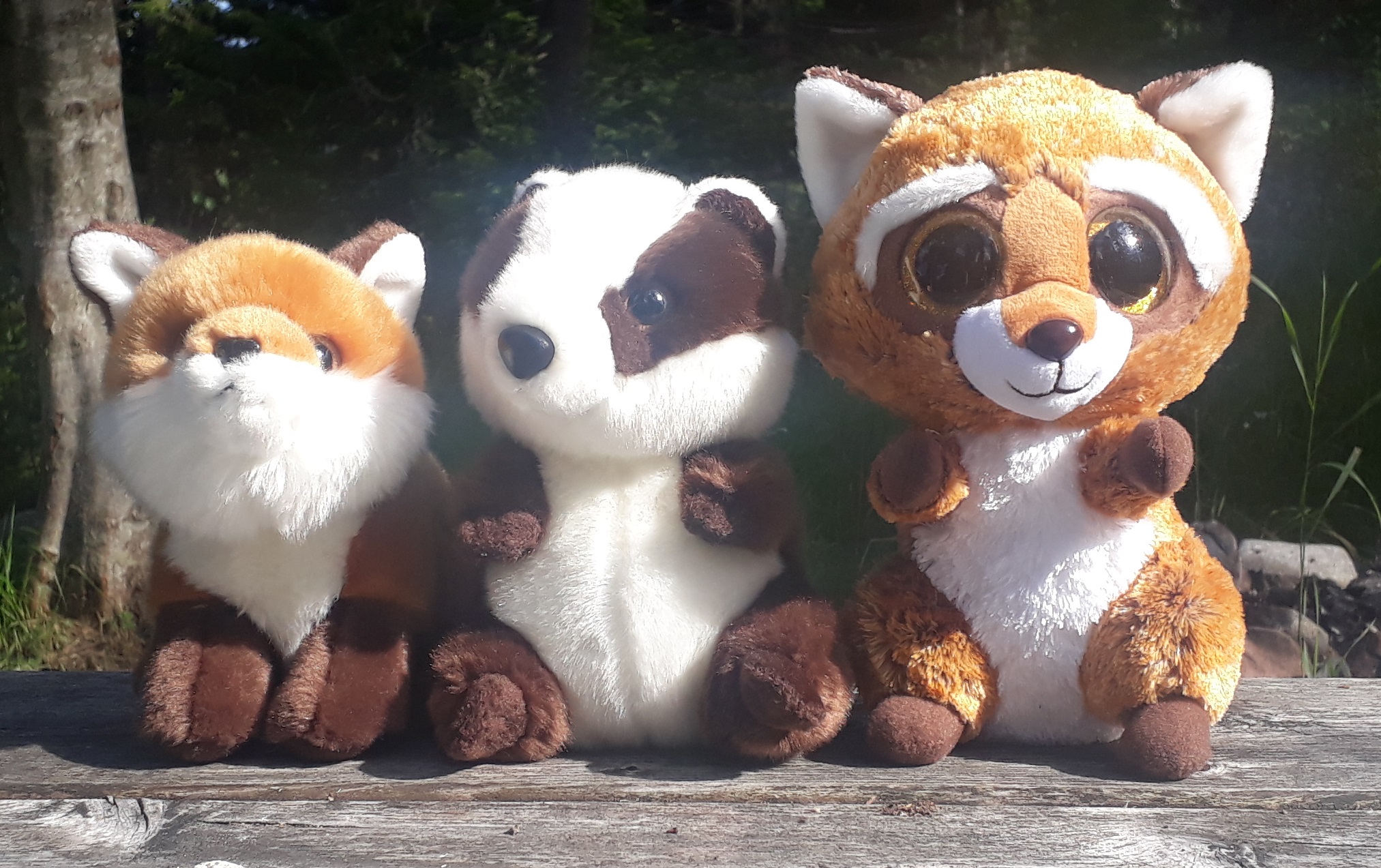 20200808_152938.jpg