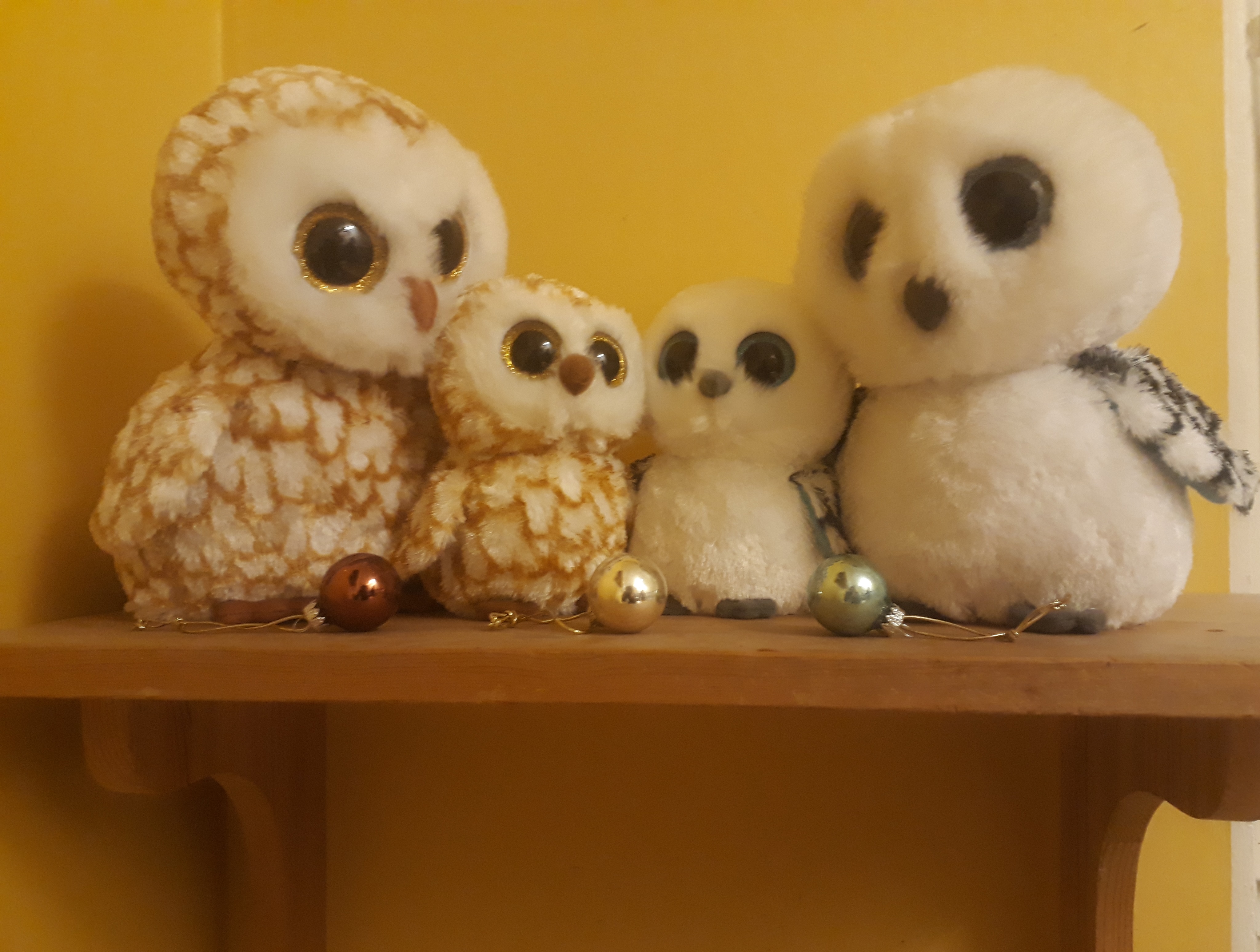 20201219_082518.jpg