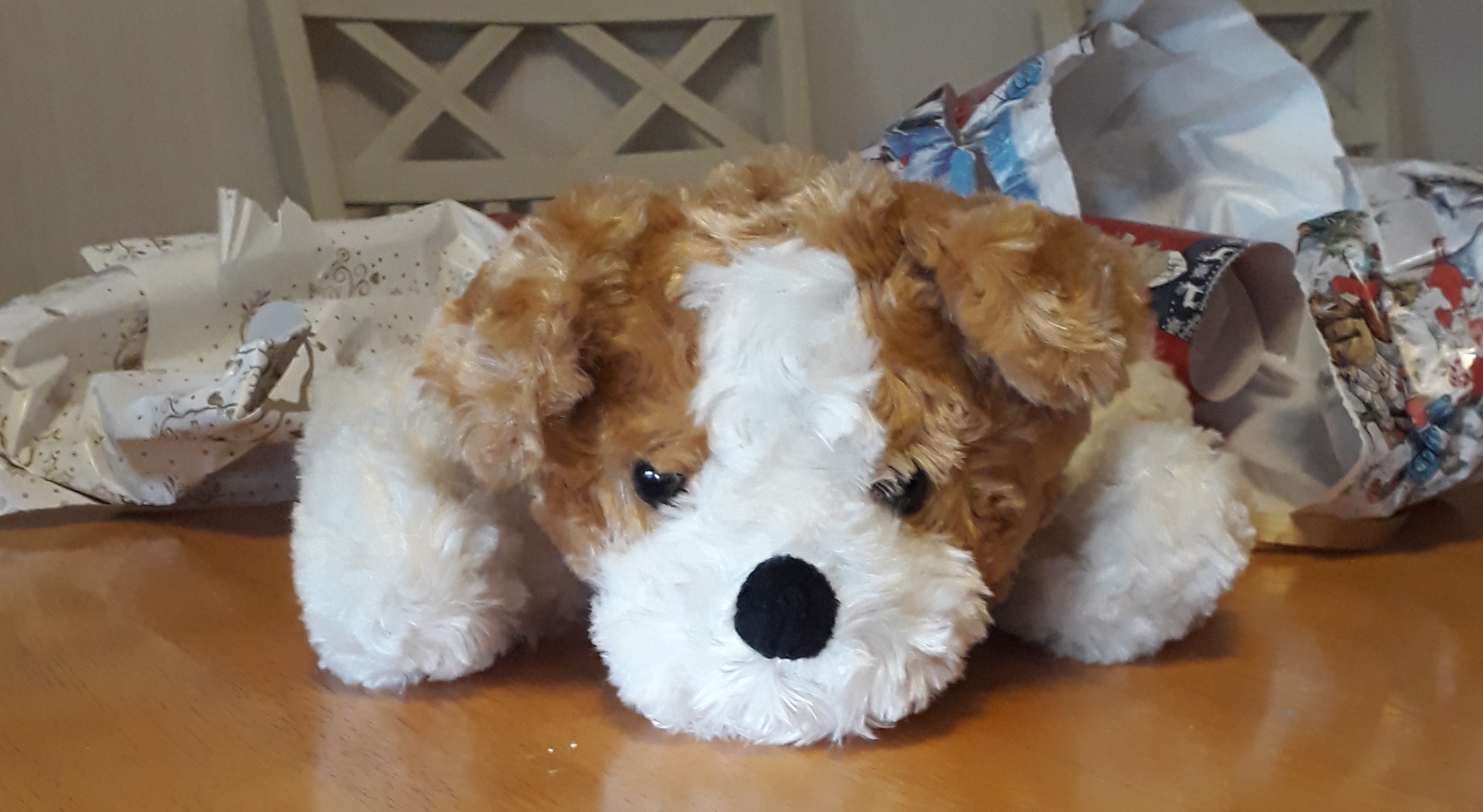 20201225_115030.jpg
